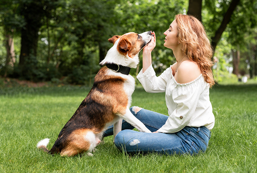 L'importance de alimentation pour vos chiens,